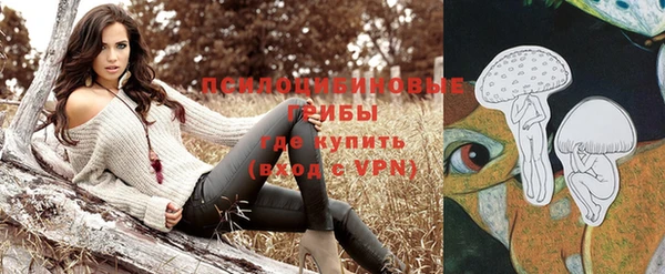 mix Гусев