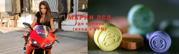 шишки Дмитриев