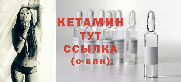 шишки Дмитриев