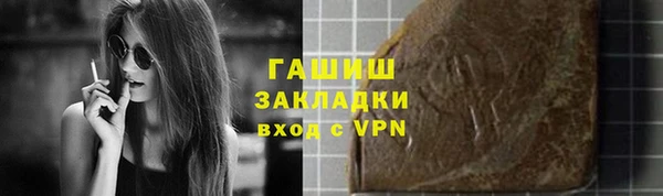 шишки Дмитровск