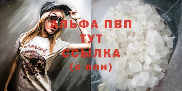 шишки Дмитровск