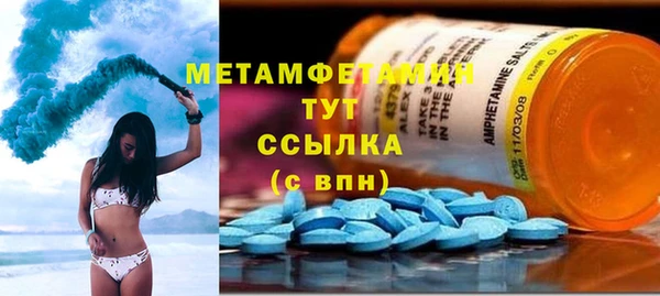 шишки Дмитровск
