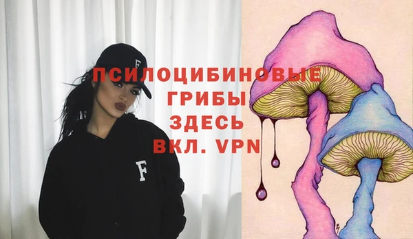 дурь Гусиноозёрск