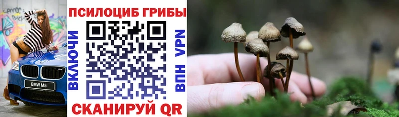 Галлюциногенные грибы мицелий  Жуковка 